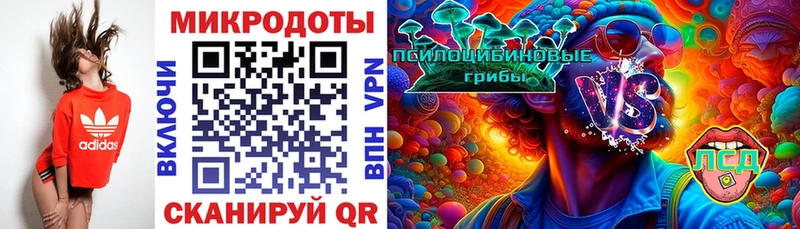 Псилоцибиновые грибы Psilocybine cubensis купить наркотики цена Карабаново